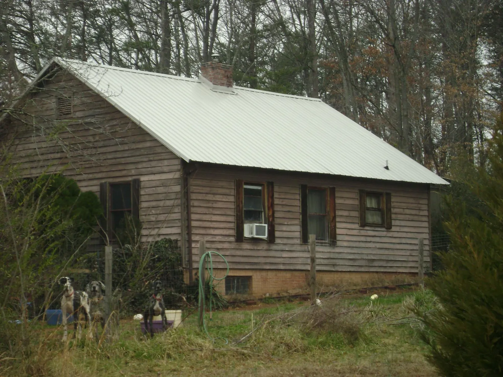 White metal roof on an old wood sided farmhouse, from a Asphalt Shingle Roof Repair job in Parksley
